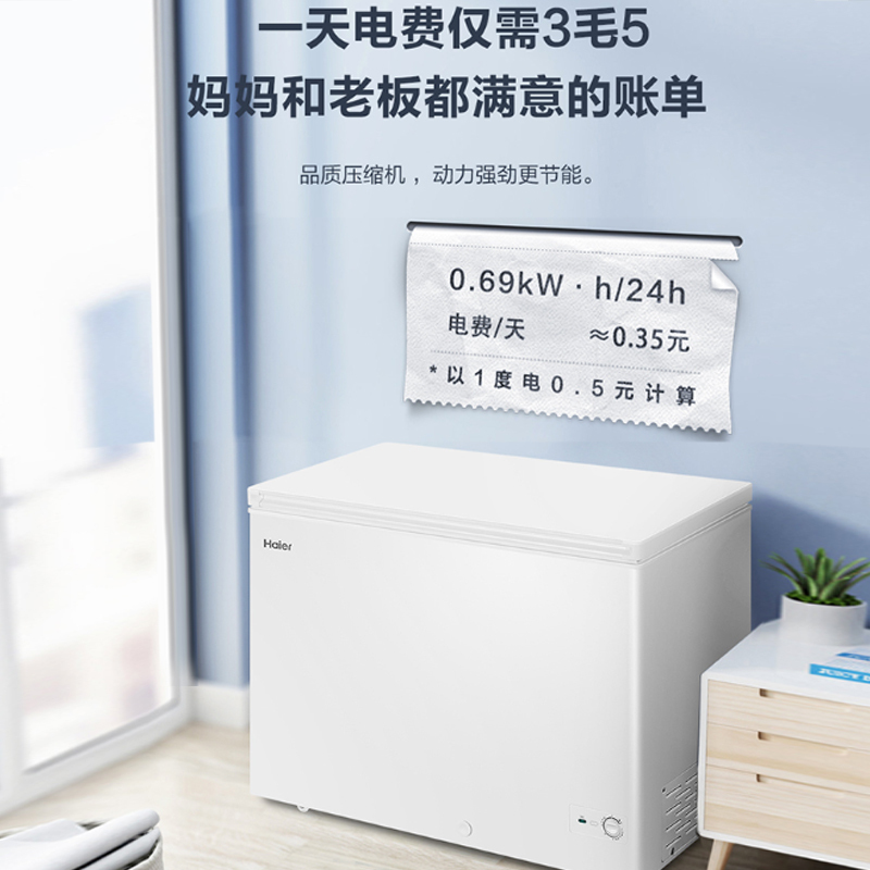海尔(Haier)300升家用卧式冰柜 冷柜 减霜80% BC/BD-300GHD[02]
