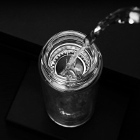 WANXIANG万象玻璃杯双层隔热不保温男女水杯带盖过滤泡茶杯车载便携商务创意杯V48L