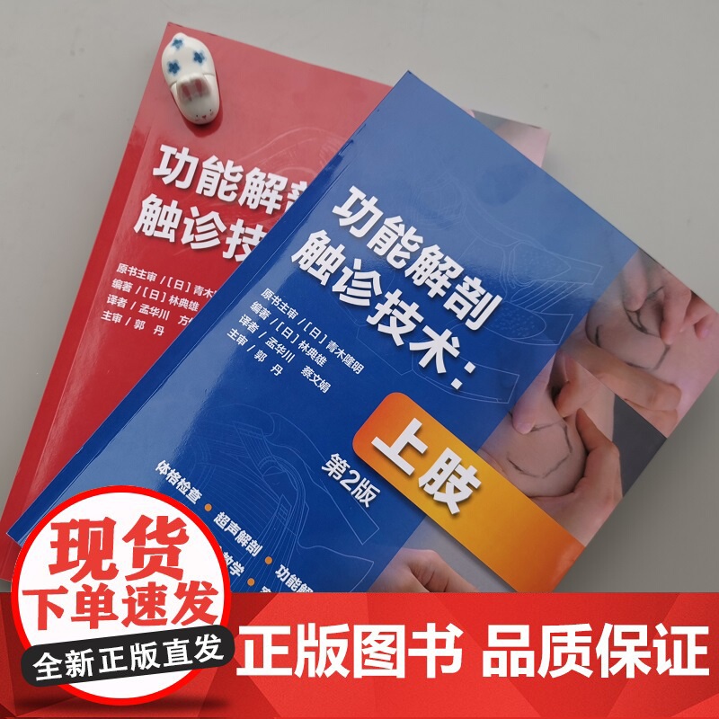 功能解剖触诊技术 第2版 全2册 上肢+下肢和躯干 运动康复 医学 解剖 北京科学技术高清大图