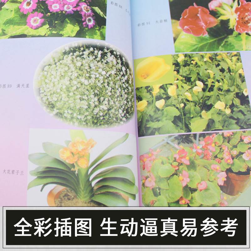 [醉染正版]家庭养花300问(第四版) 花卉日常养护细则 盆栽花卉四季养护要点 常用繁殖方法 名优花卉栽培与观赏 礼仪插高清大图