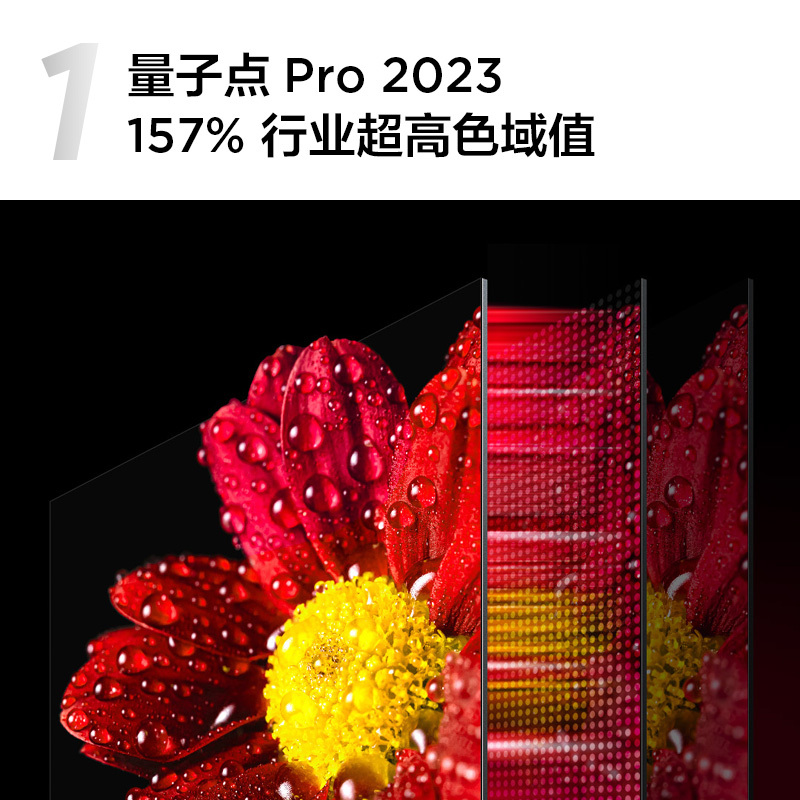 TCL 55T8E Max 55英寸QLED量子点全面屏高清智能液晶网络平板电视