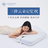 LA MAISON DE SASHA 三拼云朵记忆枕 舒适护颈 慢回弹 成人枕头套和枕芯一套睡眠枕