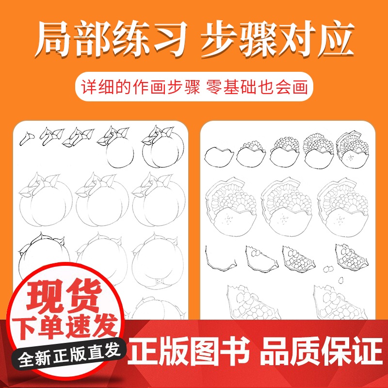 中国画白描入门描摹本国画工笔果蔬美术套装画本工具描红书初学者画画临摹画册毛笔绘画练习教材高清大图