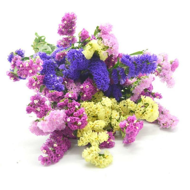 云南勿忘我鲜花满天星干花花束大束真花批发论斤散家居装饰品摆件