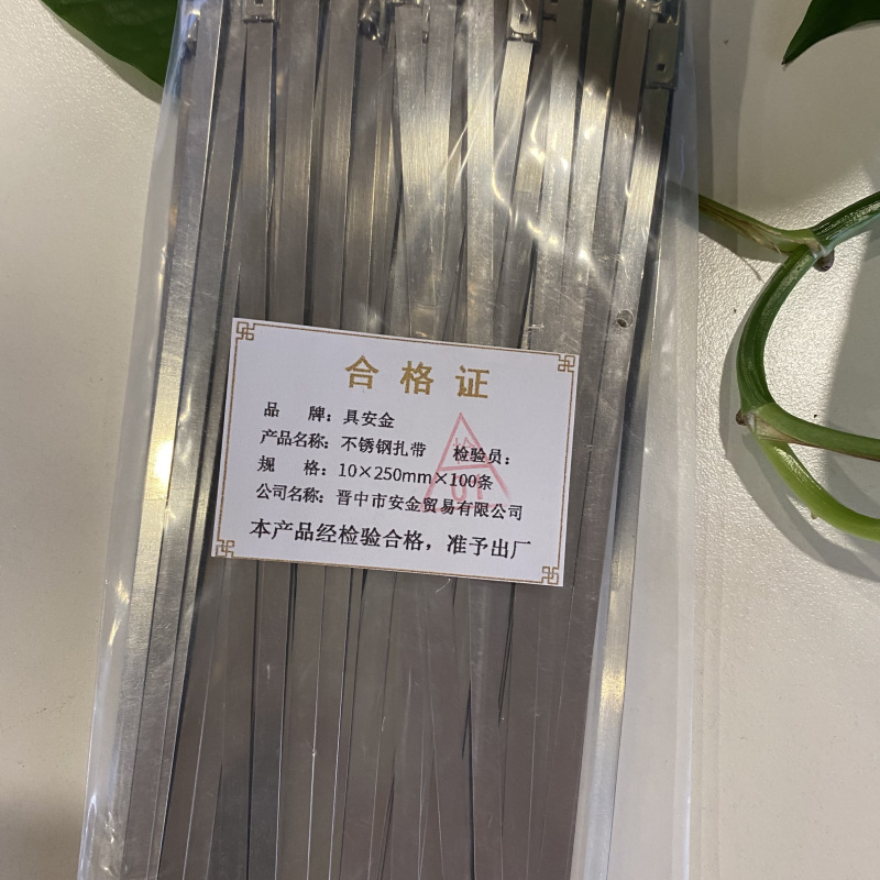 具安金 不锈钢扎带 10*250mm*100条 包