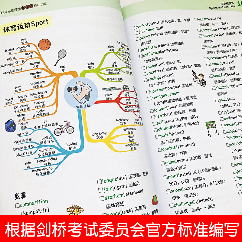 10天思维导图PET核心词汇英语单词记背神器英语词汇的奥秘词根词缀思维导图英语速记单词英语单词不用背初高中英语单词大全正