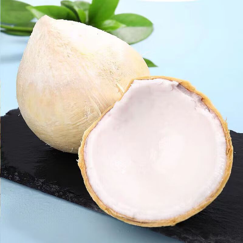 鲜木 海南牛奶椰皇 新鲜老椰子 牛奶黑椰 老椰子 青椰汁 新鲜应季水果
