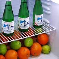 捷盛(JS)SC52 52升 黑色迷你冰吧 家用商用小型立式冷藏保鲜展示柜 蛋糕柜茶叶柜饮料柜透明玻璃单门小冰箱