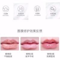 雪玲妃（SNEFE）睡眠护唇膜淡化唇纹去角质去死皮防干裂唇色补水保湿润乳霜状;唇膏