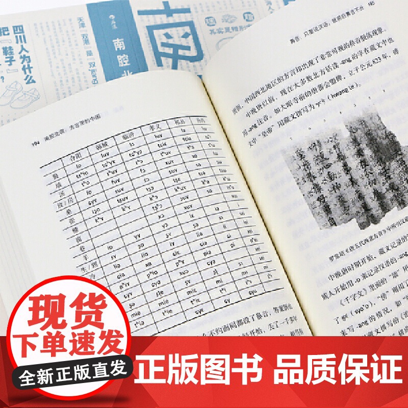南腔北调:方言里的中国 一本你能“读出声”的书!郑子宁 海峡书局出版社 后浪正版书籍高清大图