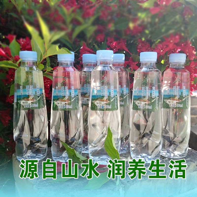饮用天然水480ml*20瓶/箱图片