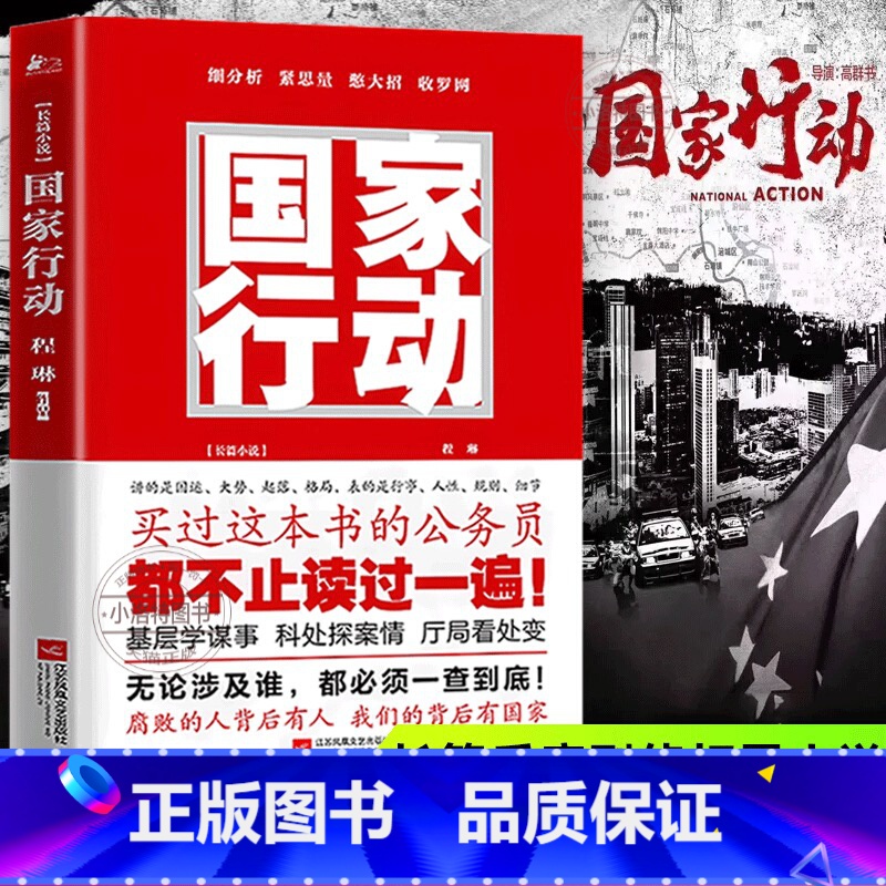 【正版】 国家行动 程琳著 张译主演同名电视剧原著小说长篇反腐刑侦 人民的名义天局同类 官场小说现当代文学书籍排行