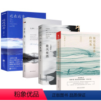 【正版】4册 被窝是青春的坟墓+晚风枕酒+平生欢+近在远方 七堇年著 青春文学情感爱情长篇小说近