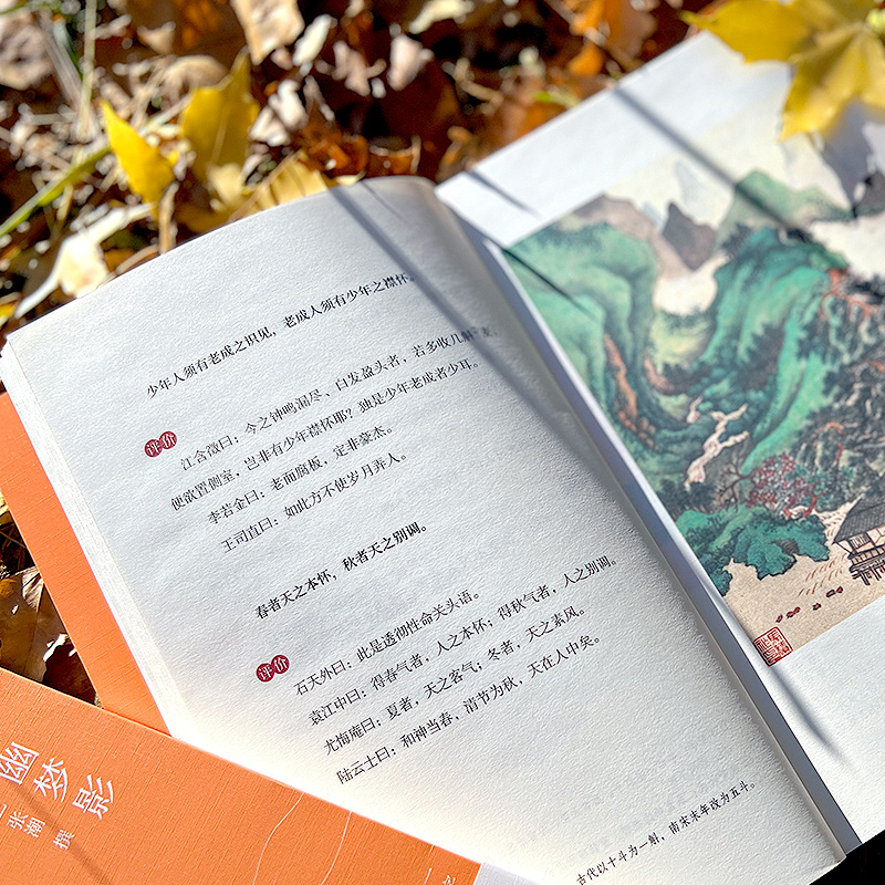 幽梦影 [正版]幽梦影清涨潮著内附精美插图难字注释清醒语讲透本质发警醒世人之言精辟不毒舌中国古典文学国学典籍随笔体格言小高清大图