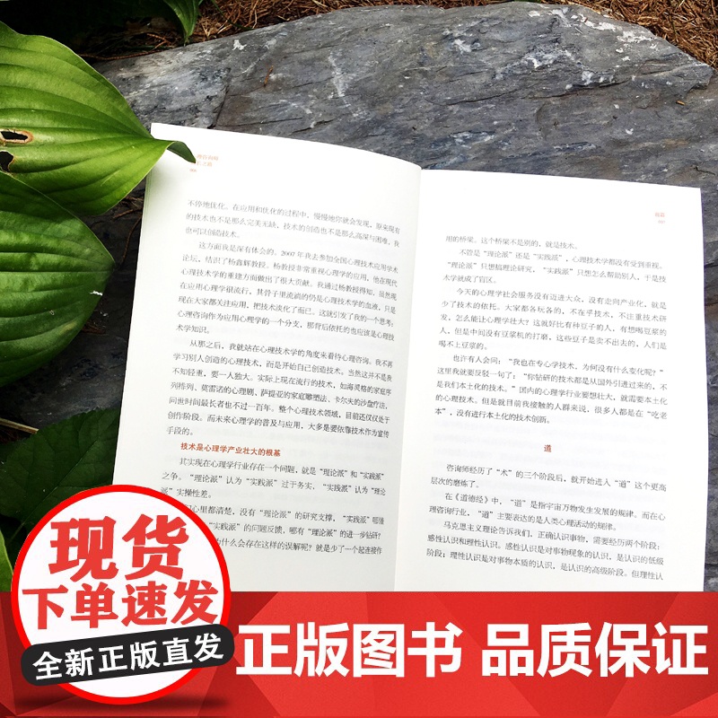正版 心理咨询师成长之路 韦志中著 心理咨询师给予安全感 做心灵导师资深心理咨询师具备条件 从菜鸟到大咖的成功秘诀高清大图