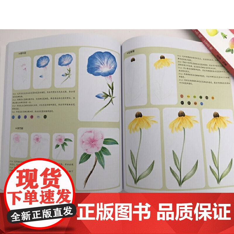 小清新彩铅手绘基础1000例 赵莹 化学工业出版社 正版书籍高清大图