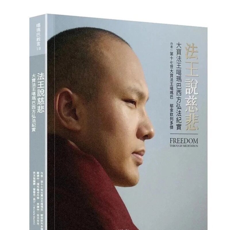 大家找的,大宝法王新书《法王说慈悲大宝法王噶玛巴西方弘法纪实高清大图