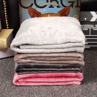 颜色随机 50cm*70cm 宠物毛毯泰迪用的被子狗狗毛毯垫猫咪小毯子大型犬四季狗窝垫子冬