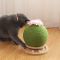 猫头底盘 M号(23*23*20) 猫抓板耐磨磨爪器蹭痒猫爪板猫抓柱圆形仙人球猫咪磨爪神器猫玩具
