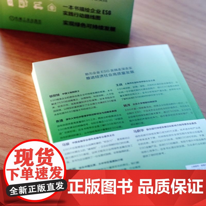 正版 一本书读懂ESG 安永ESG课题组 著 一本书描绘企业ESG实践路线图 9787111753902 机械工业出高清大图