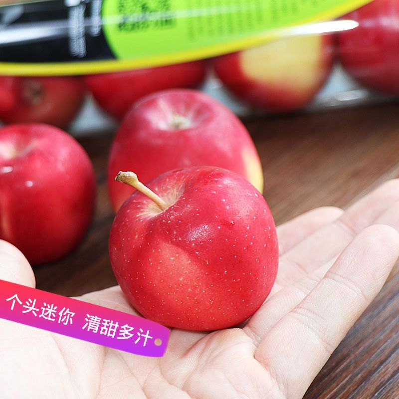 顺丰快递[熊猫鸟]新西兰进口 乐淇 rockit 火箭苹果 樱桃小苹果 5个/筒 8筒 单果70g左右