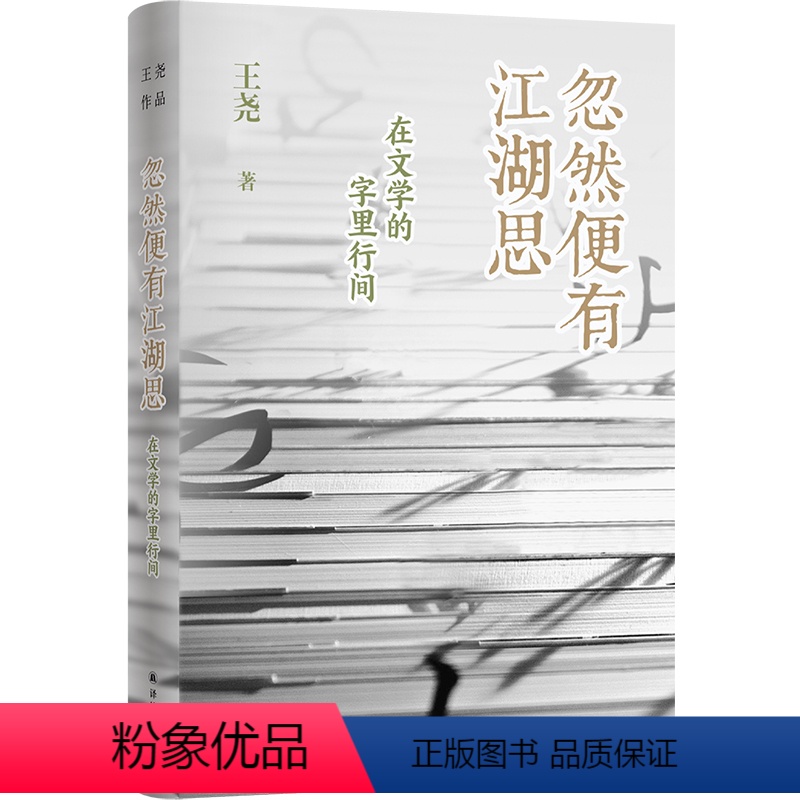【正版】忽然便有江湖思:在文学的字里行间 鲁迅文学奖得主长江学者苏州大学教授王尧樶新文学评论集 吴义勤毕飞宇等名家小