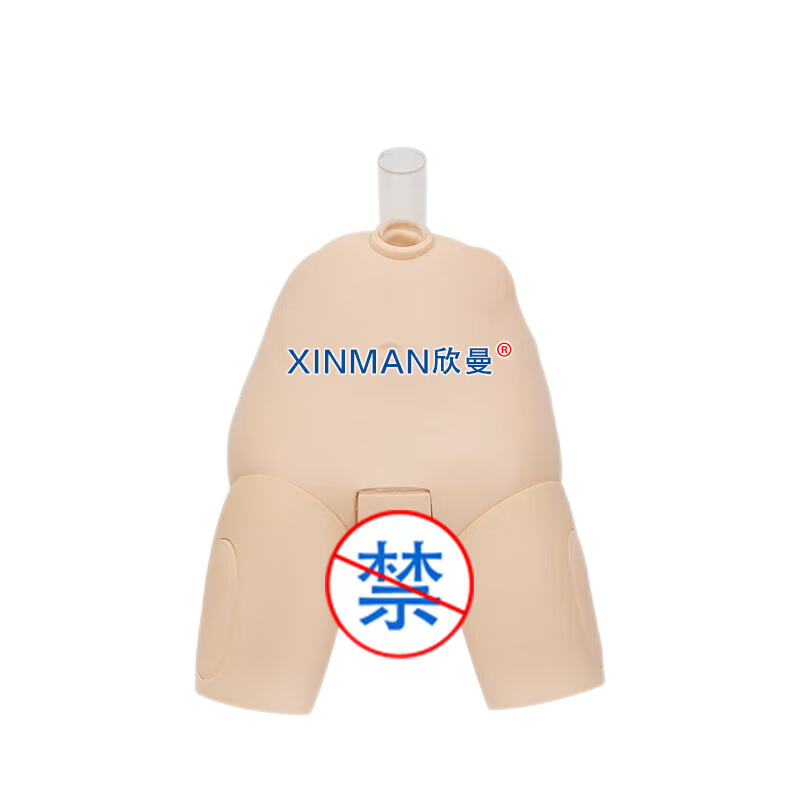 欣曼科教 男性膀胱穿刺操作训练模型 男性导尿模型XM-29M高清大图