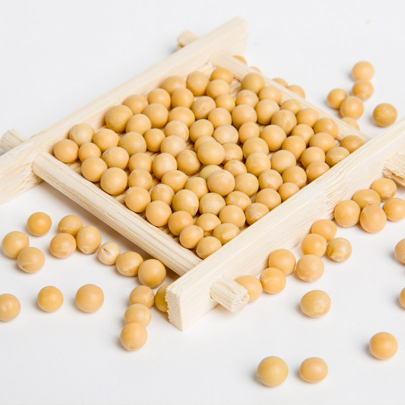 7河源 有机黄大豆1kg 杂粮豆 豆浆豆高清大图