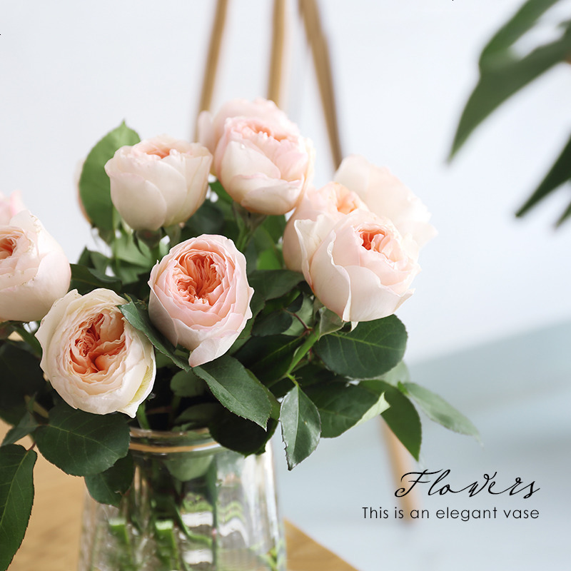 北欧简约透明玻璃花瓶水培花瓶鲜花花瓶客厅插花装饰摆件