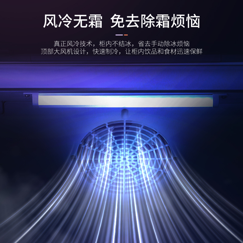 澳柯玛(AUCMA)SC-306WNE风冷无霜展示柜冷藏保鲜饮料柜商用啤酒冰箱冰柜