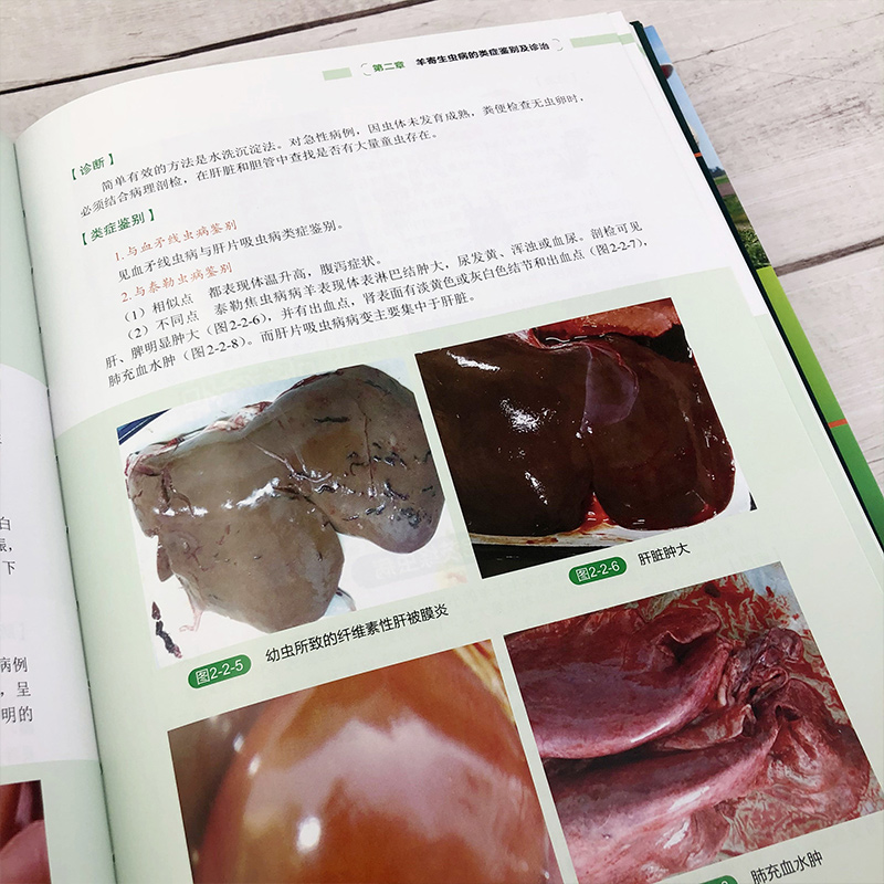 [醉染正版]羊病类症鉴别与诊治彩色图谱9787122380364化学工业出版社 全新正版高清大图