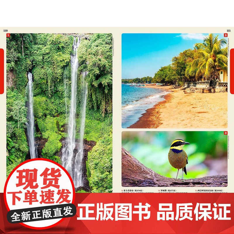 巴厘岛和龙目岛 第五版 孤独星球LonelyPlanet 国际旅行指南 马来西亚 潜水 乌布 水疗 登巴萨 寺庙 火山高清大图