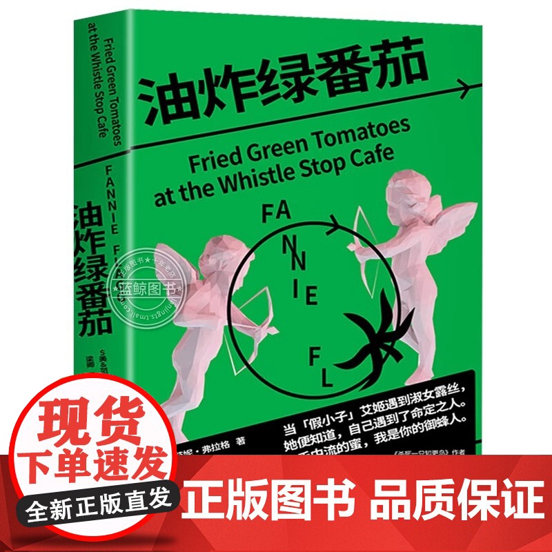 []油炸绿番茄 女性情谊 影视原著 凯西·贝茨主演 我的天才女友 聊天记录 小说图书 油炸绿番茄 现当代外国文学高清大图