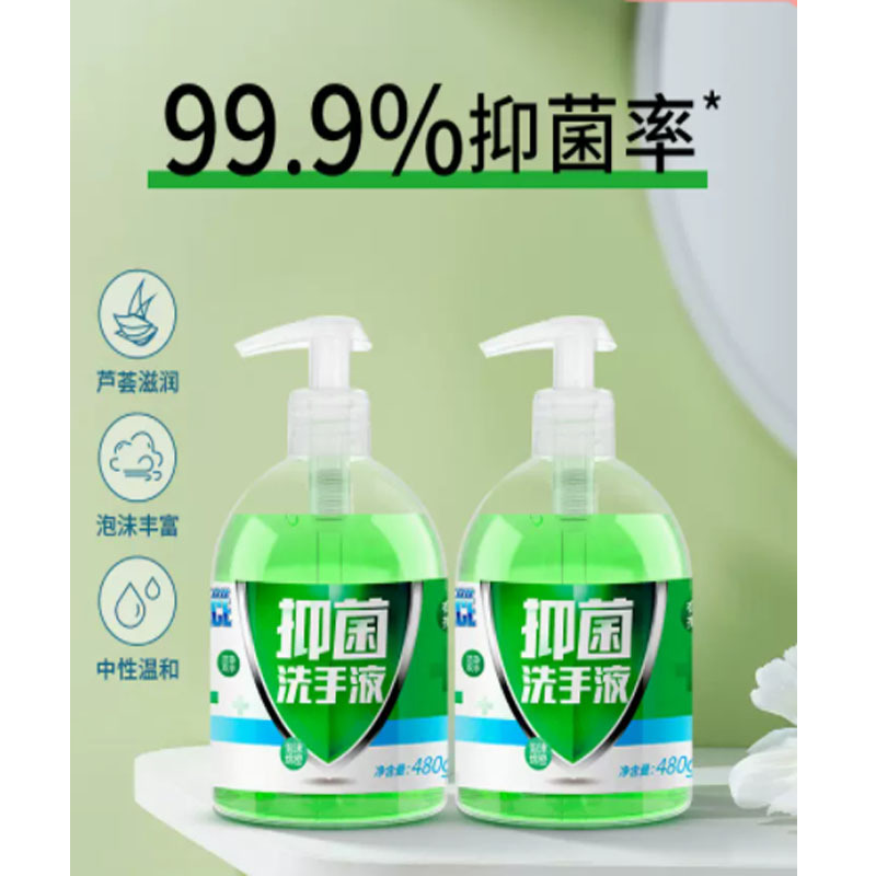 可立仕 洗手液 消毒杀菌家用抑菌水洗泡沫洗手液 480g*2瓶
