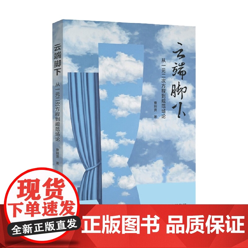 云端脚下 从一元二次方程到规范场论 曹则贤 著 科普读物高清大图
