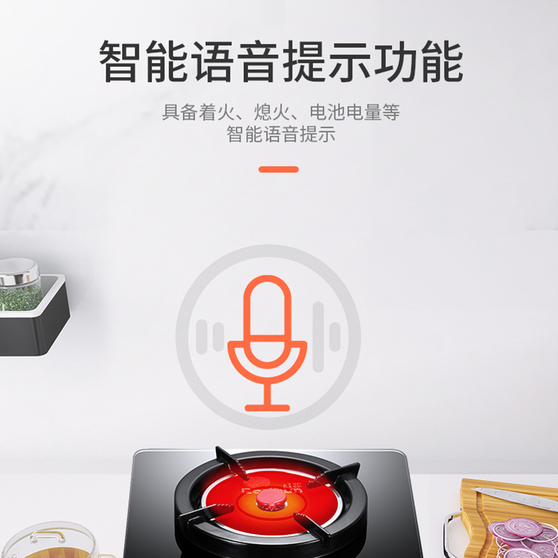 红日(RedSun)ED009B燃气灶 家用红外线灶单灶 固定定时防干 语音提醒 一级能效省气 (天然气)
