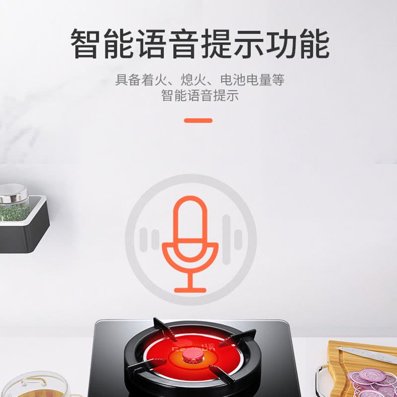 红日(RedSun)ED009B燃气灶 家用红外线灶单灶 固定定时防干 语音提醒 一级能效省气 (天然气)图片
