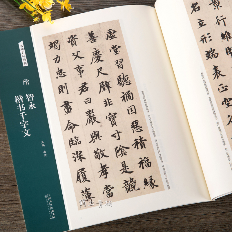 [正版]名碑名帖经典 隋 智永楷书千字文 简体旁注 楷书毛笔书法字帖碑帖