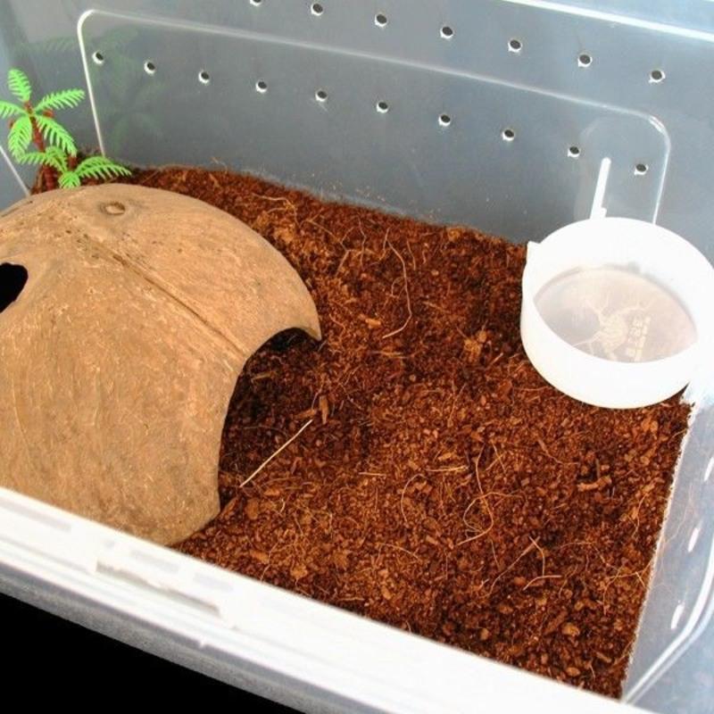 小号1个+圆水盆1个 宠物爬虫饲养盒带景蜘蛛守宫蛇蜥蜴蝎子蜈蚣饲养箱大中小号套装