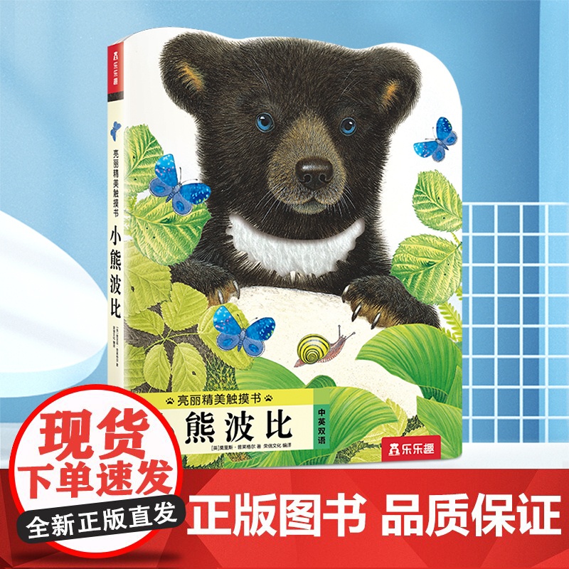 小熊波比 未来出版社 (英)莫里斯·普莱格尔(Maurice Pledger) 著 荣信文化 译高清大图