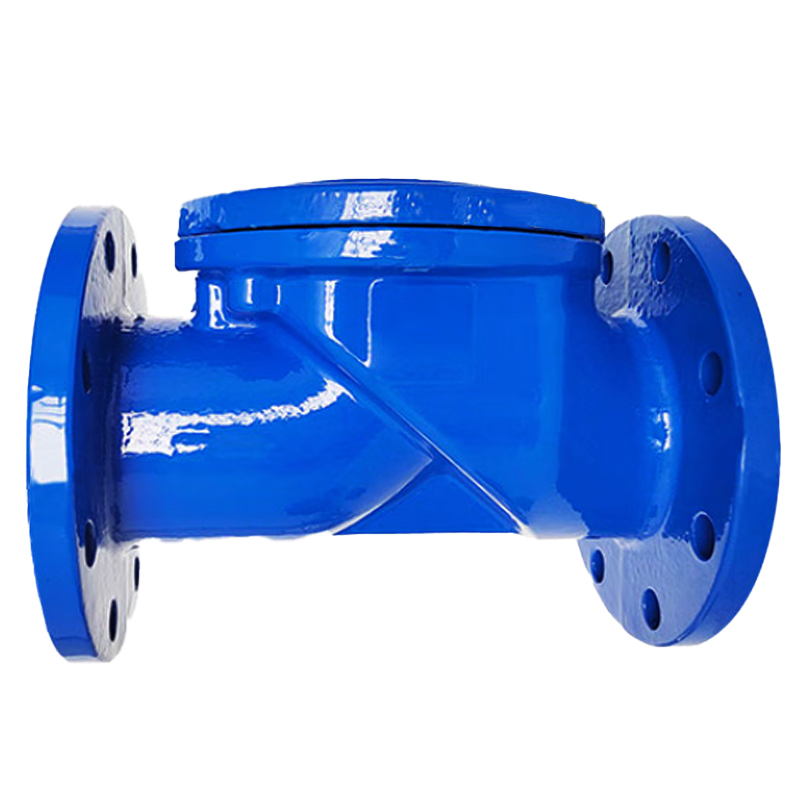 兴酉 法兰橡胶瓣止回阀 DN50 个高清大图