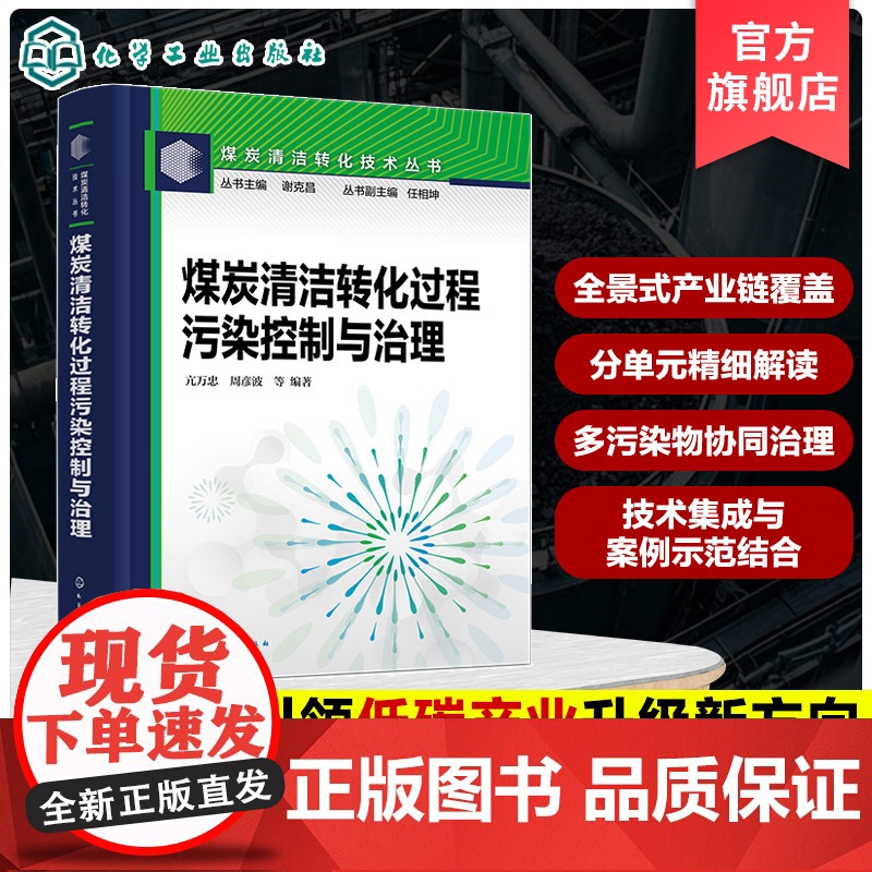 煤炭清洁转化过程污染控制与治理 煤炭清洁转化技术丛书 典型大型煤化工装置污染物综合治理案例 煤洁净利用行业专业人员参考书