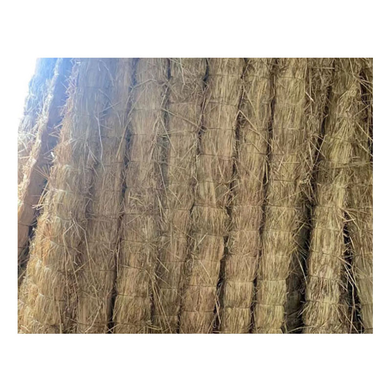 艾德林锐条形草支垫1450*100*150mm根高清大图