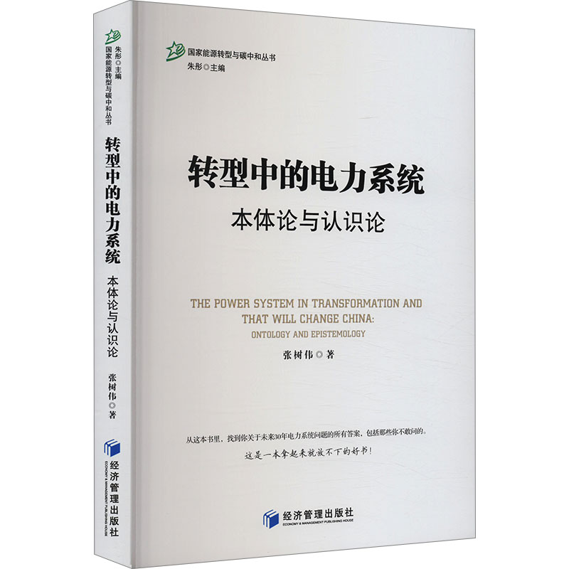 [N]转型中的电力系统 本体论与认识论-9787509696569高清大图