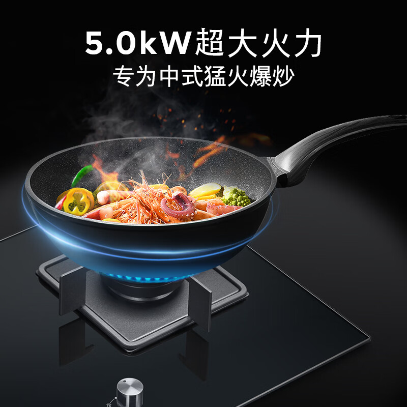 西门子嵌入式燃气灶具5.0大火力家用双灶玻璃天然气ERJA8A3BMP高清大图