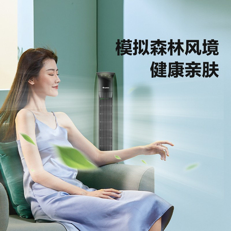 格力(GREE)无叶风扇遥控电风扇塔扇风轮易拆洗节能轻音低噪家用塔式落地扇负离子清新空气 FL-08X65Bg