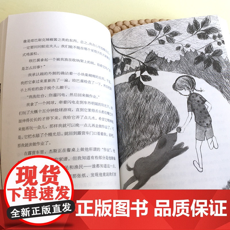 新版长青藤国际大奖小说书系·第4辑:明天会有好运气国际奖项美国国家图书奖金奖作品文学性与故事性并重属于国际水准的儿童小说高清大图