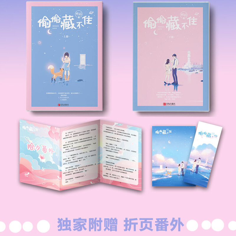 [醉染正版]偷偷藏不住 竹已著 中国青春文学小说 晋江金榜作品 段嘉许VS桑稚 难哄作者姊妹篇高清大图