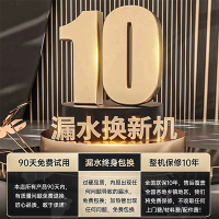 希尔史密斯一级能效60升快速热3000W储水式电热水器电家用浴室洗澡扁桶双胆加热增大容量 [免费上门安装 出水智能断电]