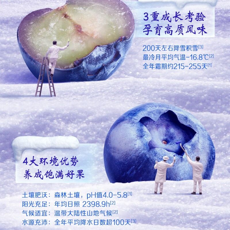 伊利安慕希 AMX蓝莓奶昔风味酸奶230g*10瓶一箱 蓝莓奶昔风味酸奶高清大图